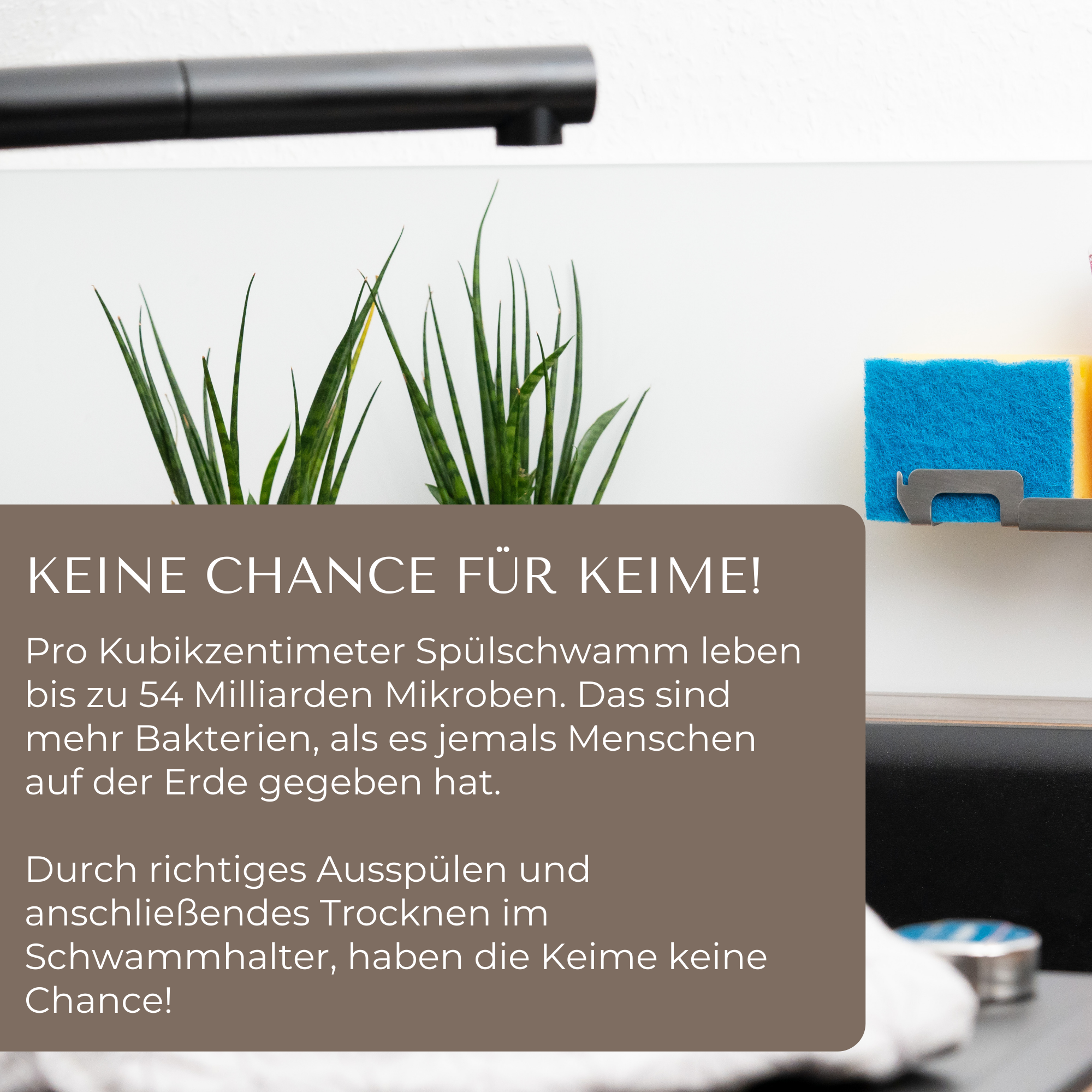 Schwammhalter Küche – Edelstahl Spülschwamm Halterung / Schwammhalter Spülbecken – Selbstklebend mit Spültuchhalter – Made in Germany